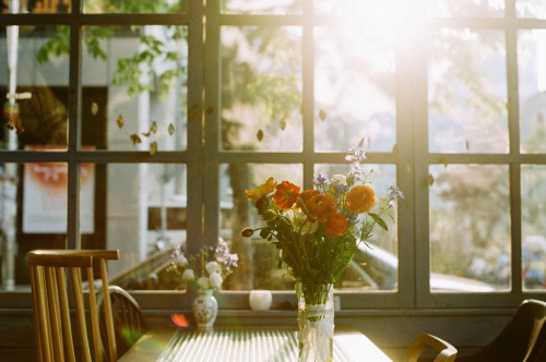 englishsnow:  by childishToy* 