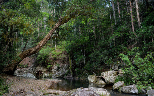 Couchy Creek 8 by dustaway on Flickr.