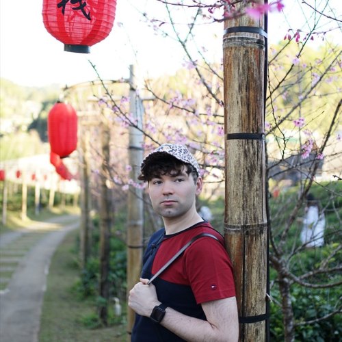 Cherry blossoms, Chinese lanterns, tea plantations, cold weather. This doesn’t feel like Thail