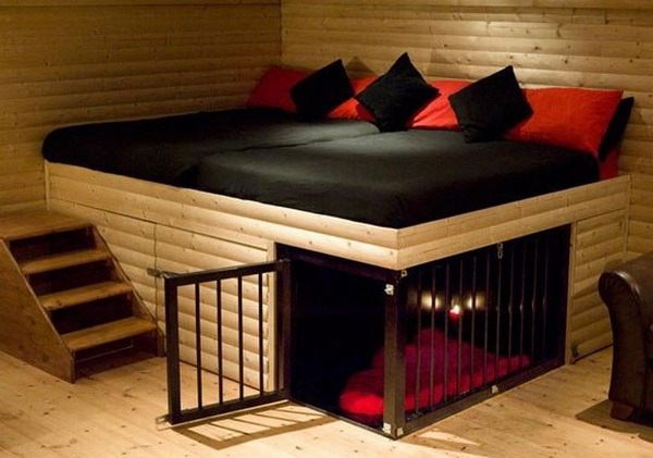 dreamingmoonprincess:  &ldquo;Often, when you think of building a doghouse, you