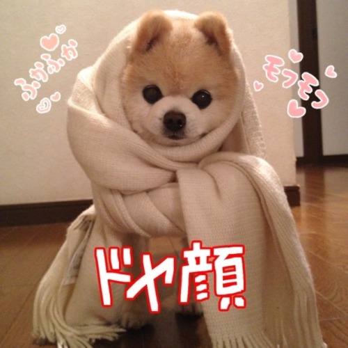 수려하다