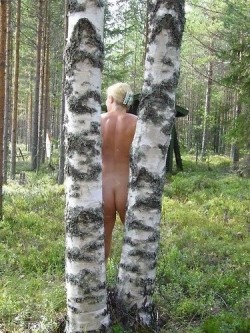 In a Finnish forest three great submissions