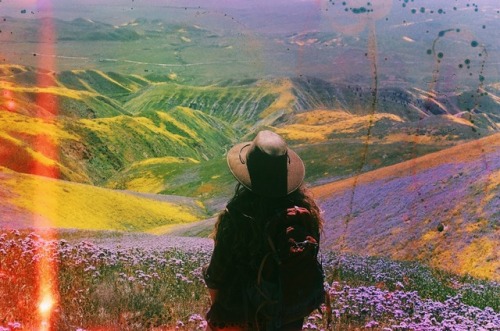 untidysouls: I’ve spent the last two months living and working in a Superbloom and it has been magical.  Southern California | 35mm soaked in laundry detergent Keep reading 