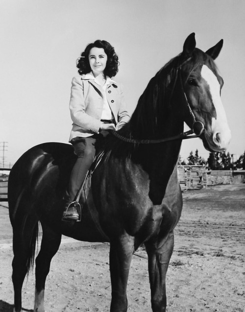 Elizabeth Taylor in National Velvet, ca. 1944.