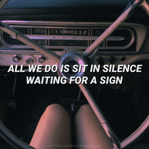 aestheticscreen::･ﾟ✧ drive - halsey:･ﾟ✧ more