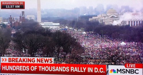 ambercxo:#WomensMarch #WomensMarchOnWashington #FemTheFuture #Day21of365 ❤️✊🏾✨