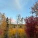 sagebrushandsoil:Hello Autumn 🍂 I love you 
