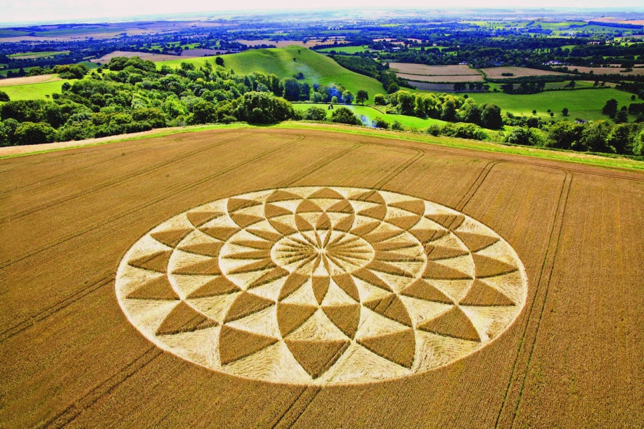 vraieronique:L’ Art, aussi, est dans le pré ..!