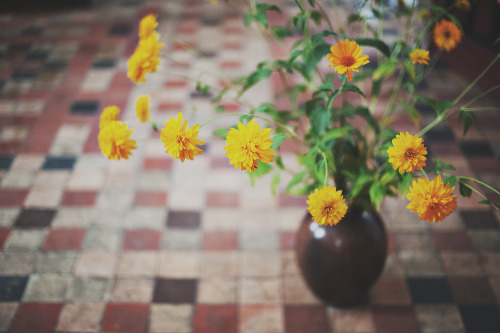 englishsnow:by ♥ Moni