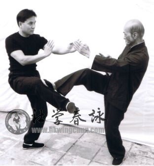 rootsofcombat2:  Wing chun methods of attack