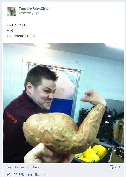 alegbra:  ah yes the finest of facebook 