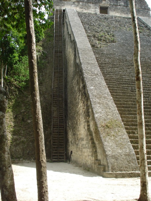 One tower at Tikal site in Guatamala!