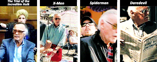 dailyxmarvel:  Stan Lee’s Marvel cameos 