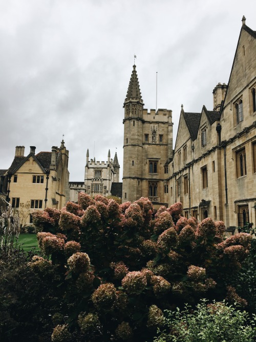 oxford is looking very autumnal