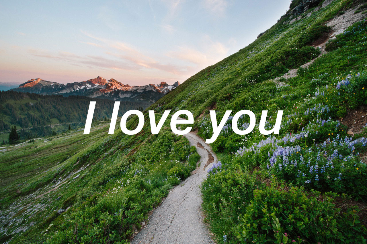 the-love-feed: 281 (Source) Instagram: @thelovefeedblog  