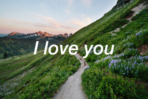 the-love-feed: 281 (Source) Instagram: @thelovefeedblog  