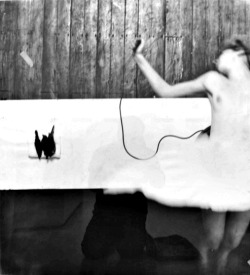 miss-catastrofes-naturales:  Francesca Woodman Untitled - Swan Song Series, Providence Rhode Island (1978)   