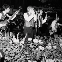 the-land-of-doesnt-have-to-be:  Today, 12th July in 1962, the Rolling Stones played their first ever gig at the Marquee Club, London. The newly named Rollin’ Stones line up was listed in ‘Jazz News’ as Mick Jagger (vocals/harmonica), Keith Richards