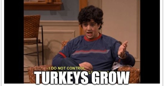 malevolentepiphany: malevolentepiphany:   malevolentepiphany:  working in a grocery store is hell I don’t even start for another 35 minutes and I’ve already had a customer come up to me and ask me why the turkeys are so small this year  I don’t