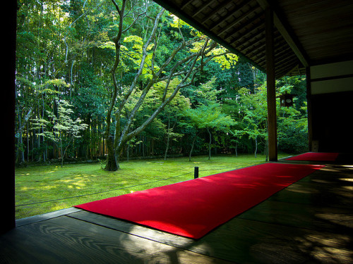 kaelula-sungwis:alone in the green (Koto-in temple, Kyoto) by Marser on Flickr.