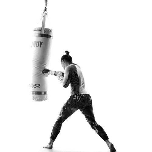 The History of Fighting
