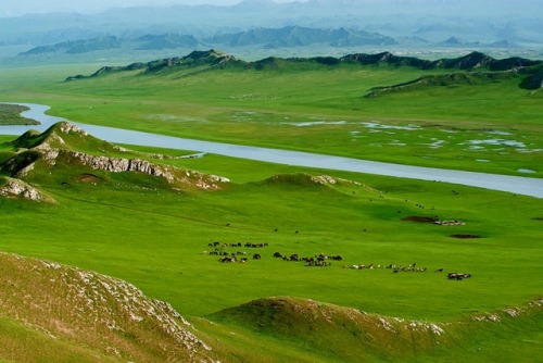 Spring Of Tianshan (The Heavens Mountains)