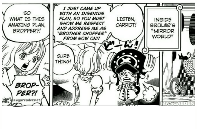 One Piece Spoiler 8 Explore Tumblr Posts And Blogs Tumgir One Piece Spoiler 8 Explore Tumblr Posts And Blogs Tumgir