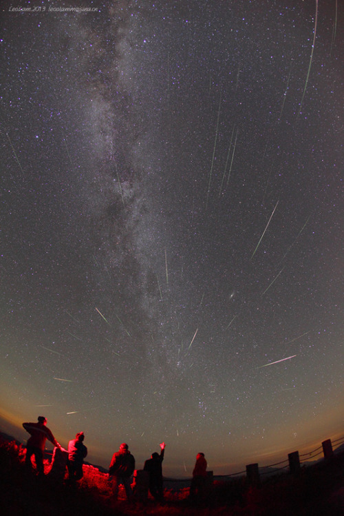 mini-space-alien:  spaceexp:  The night when the Perseids Meteor Shower peaks. by leolam2011  i want to leave 