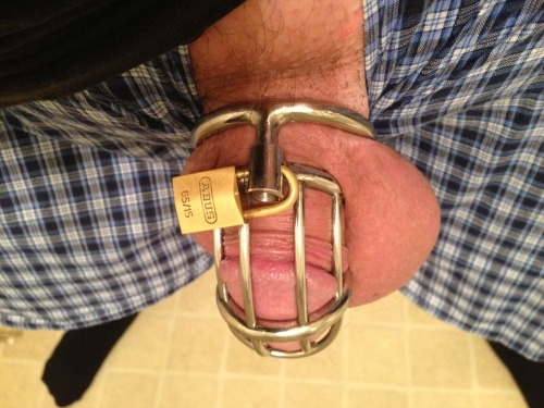 anonmouse93:  Back in my Mature Metal Jailbird. After my sojourn in the two tiny Chinese cock cages I’m honestly grateful to be allowed back into the 2.25” jailbird. 