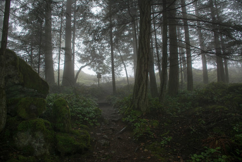 near the top in the fog by robinnestridge on Flickr.