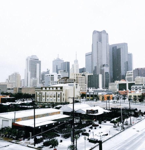 atheous:Dallas in the snow part 1