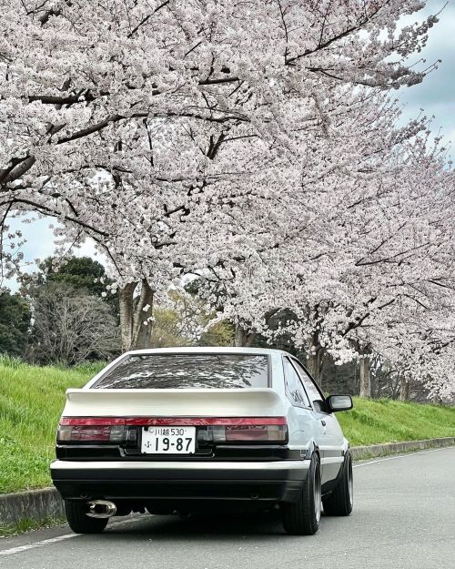 untouchvbles: Toyota Corolla Trueno (AE86)