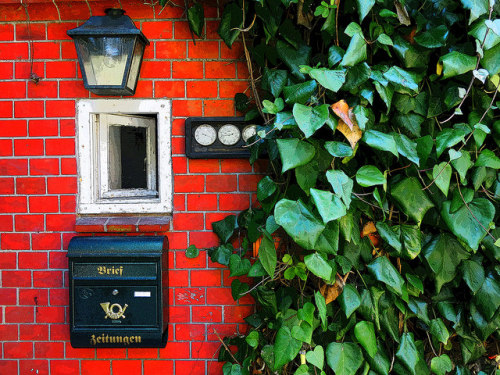 Da war doch noch was... | red wall with green leaves on Flickr.