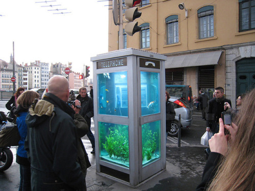 ex0skeletal: (via Benedetto Bufalino and Benoit Deseille Repurpose Phone Booths for Aquariums | Hi-F