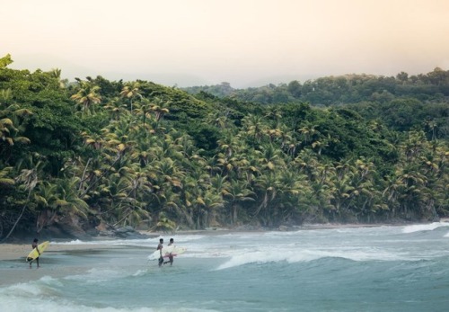 trinbagoculture: Surfs up. Trinidad and Tobago.