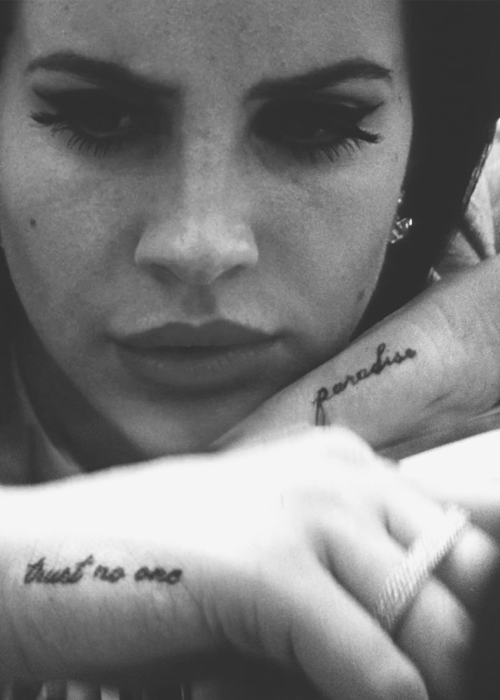 elviro:  Trust no One. Paradise 