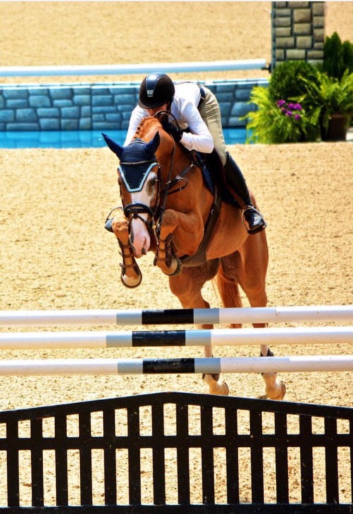 glamglittergal: Balveneur Z and Linda Radigan. 7 year old jumpers.