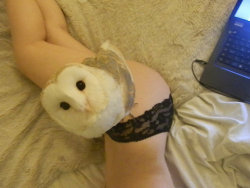 smackinherveins:  omg wtf, that owl is cute but why?? this photo is conflicting to me. 