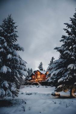 captvinvanity:   Julien Buchowski | The winter mansion  