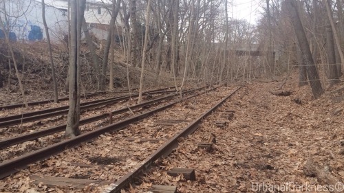 urbanaldarkness:  All the Abandon Rockaway Branch Line pictures all in one that I took today with @ahmazingviews. Urban decay everyone, its absolutely amazing!  This is the abandon rockaway line in Queens, New york city. Been abandon and in urban decay