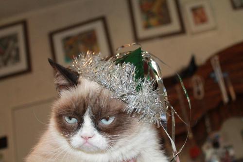 cybergata:Grumpy New Year to You!