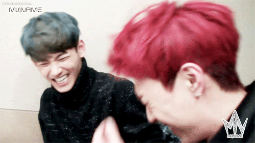  dumb & dumber 