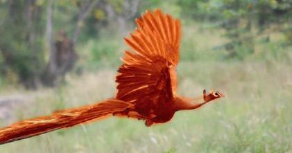 Coolest Mythical Animals