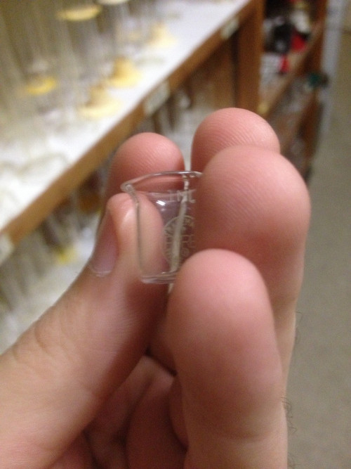 longhairshortfuse: dashingly-dashnastical:  bbglasses:  freshphotons:  1ml beaker.  tiny science  #for all your tiny science needs  Whenever a student asks for a beaker and doesn’t specify capacity… 