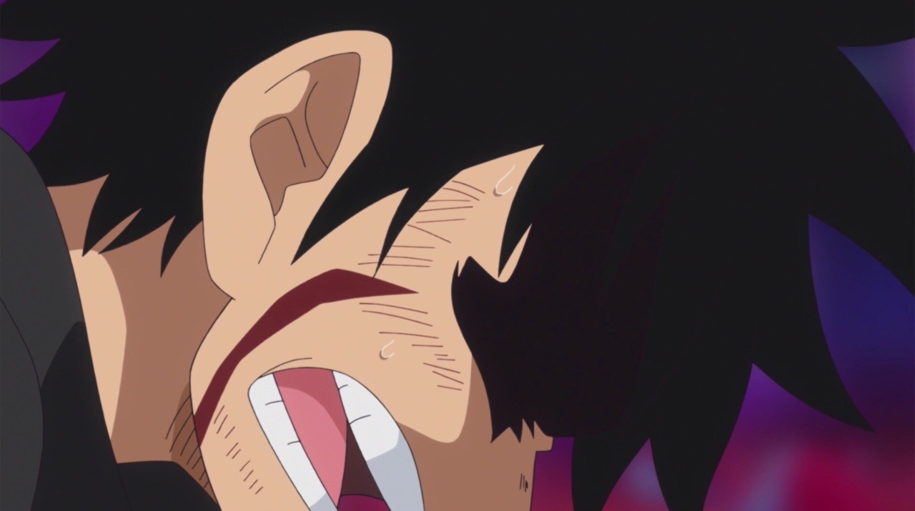 Where Shall We Go Luffy Luffy Episode 864 Of One Piece This Episode