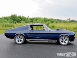 justoldmustangs:  Just old Mustangs