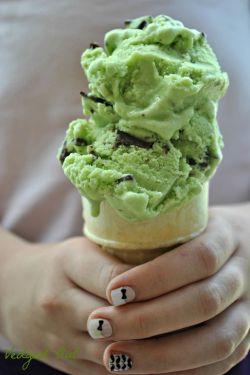 im-horngry:  Vegan Chocolate Chip Mint Ice