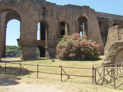 Ruins of Severus&rsquo; palace, Palatine Hill