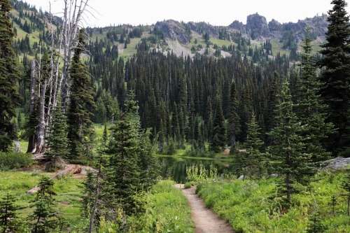 burningmine:Sheep Lake, August 2018