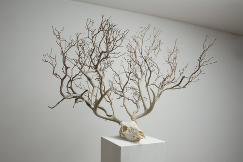 idreamofaworldofcouture:Sculptures by MyeongBeom Kim
